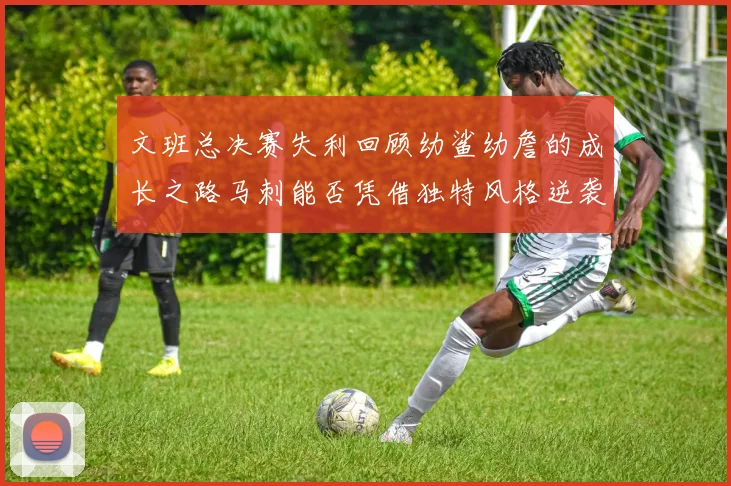 文班总决赛失利回顾幼鲨幼詹的成长之路马刺能否凭借独特风格逆袭成功